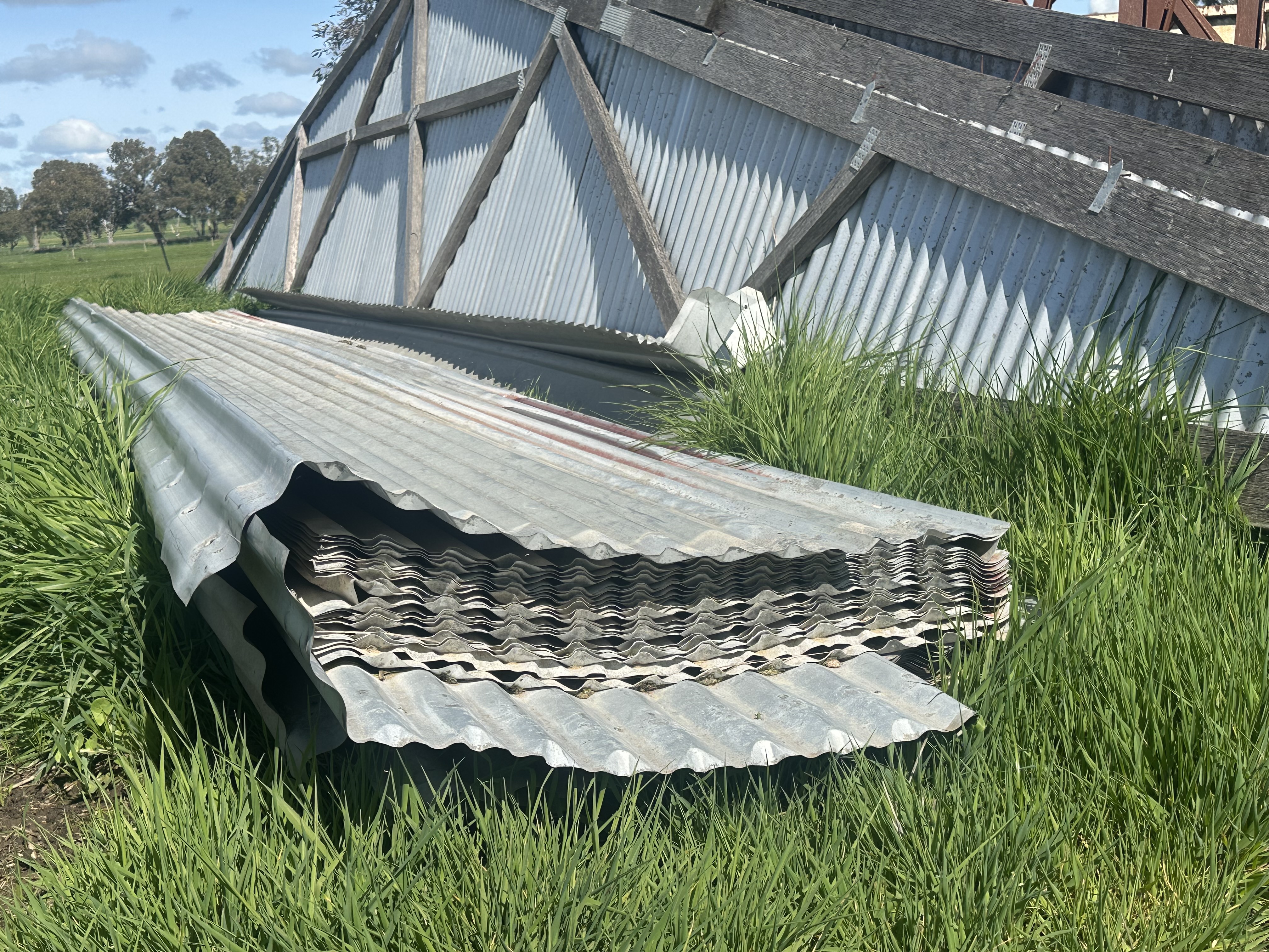 shed 8